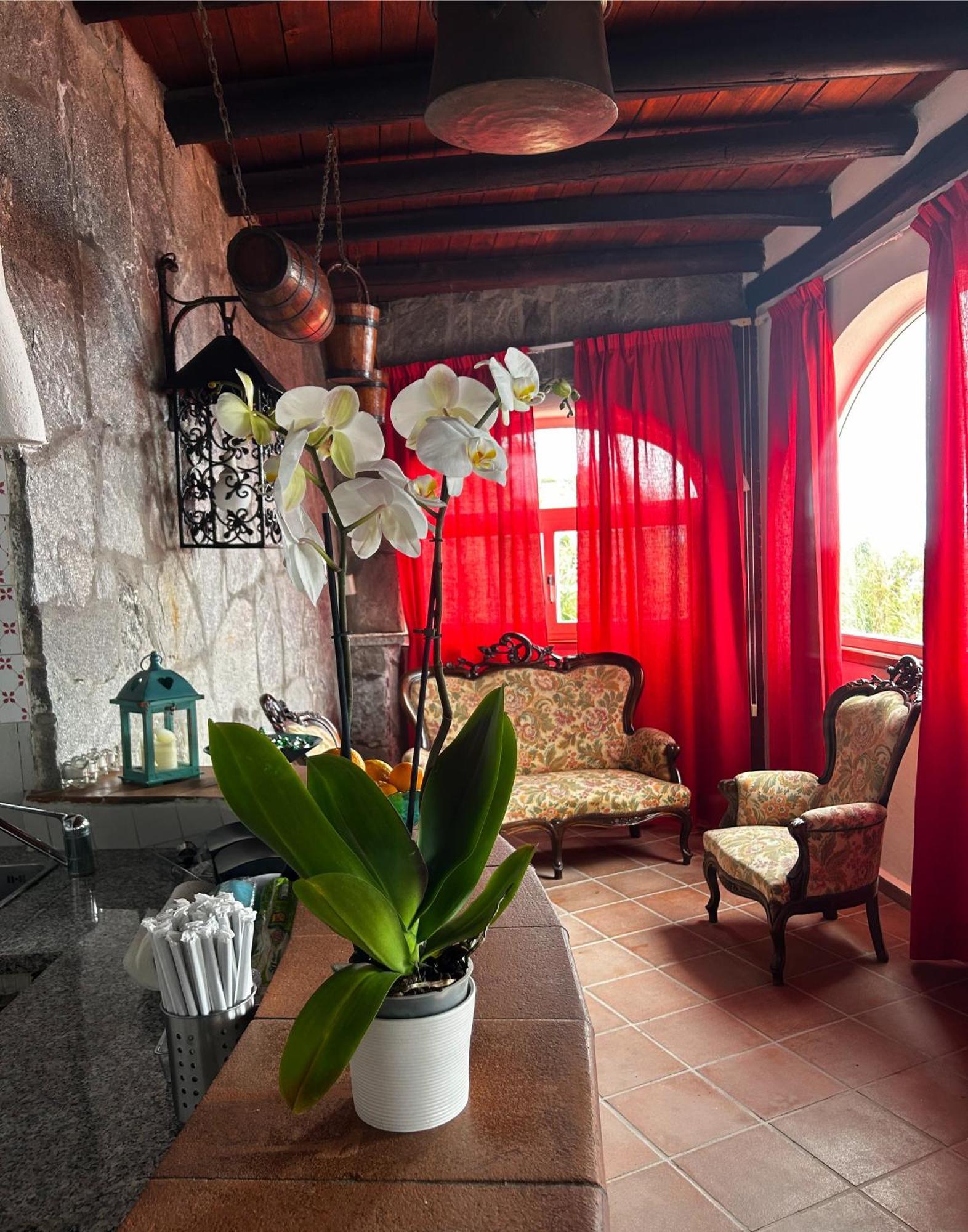 Hotel Punto Azzurro Forio  Bagian luar foto