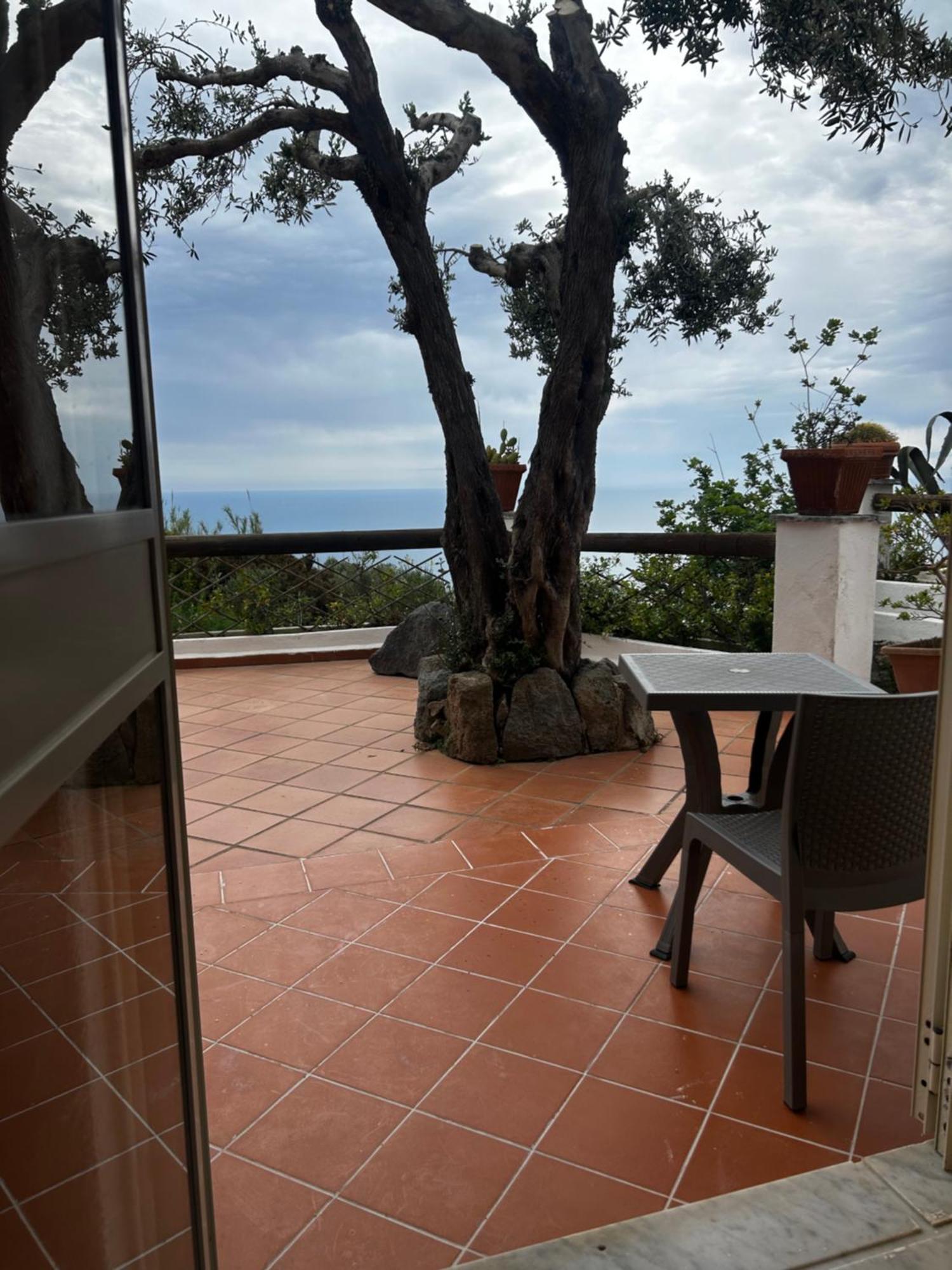 Hotel Punto Azzurro Forio  Bagian luar foto